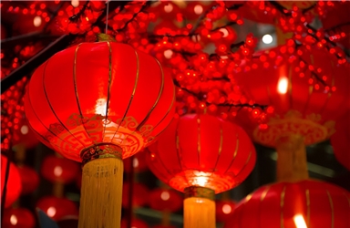 國際生攝影作品（紅運滿枝）