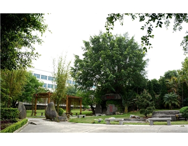 公園